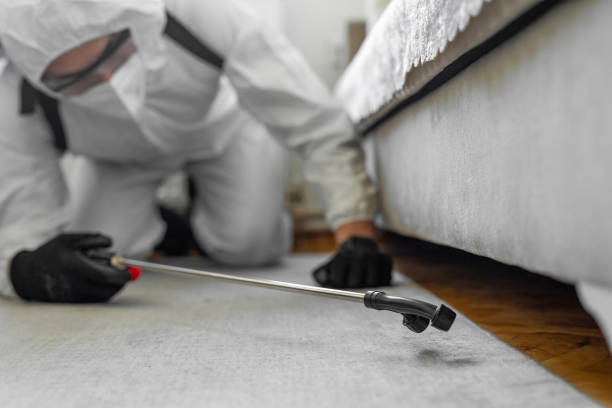 Professional Cockroach Control technician working in Hudson, CO